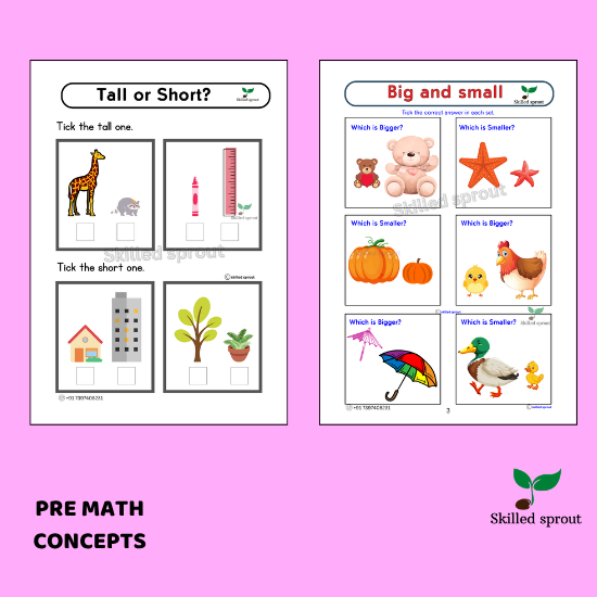 Pre-KG & LKG Pre-Math Concepts - Image 3